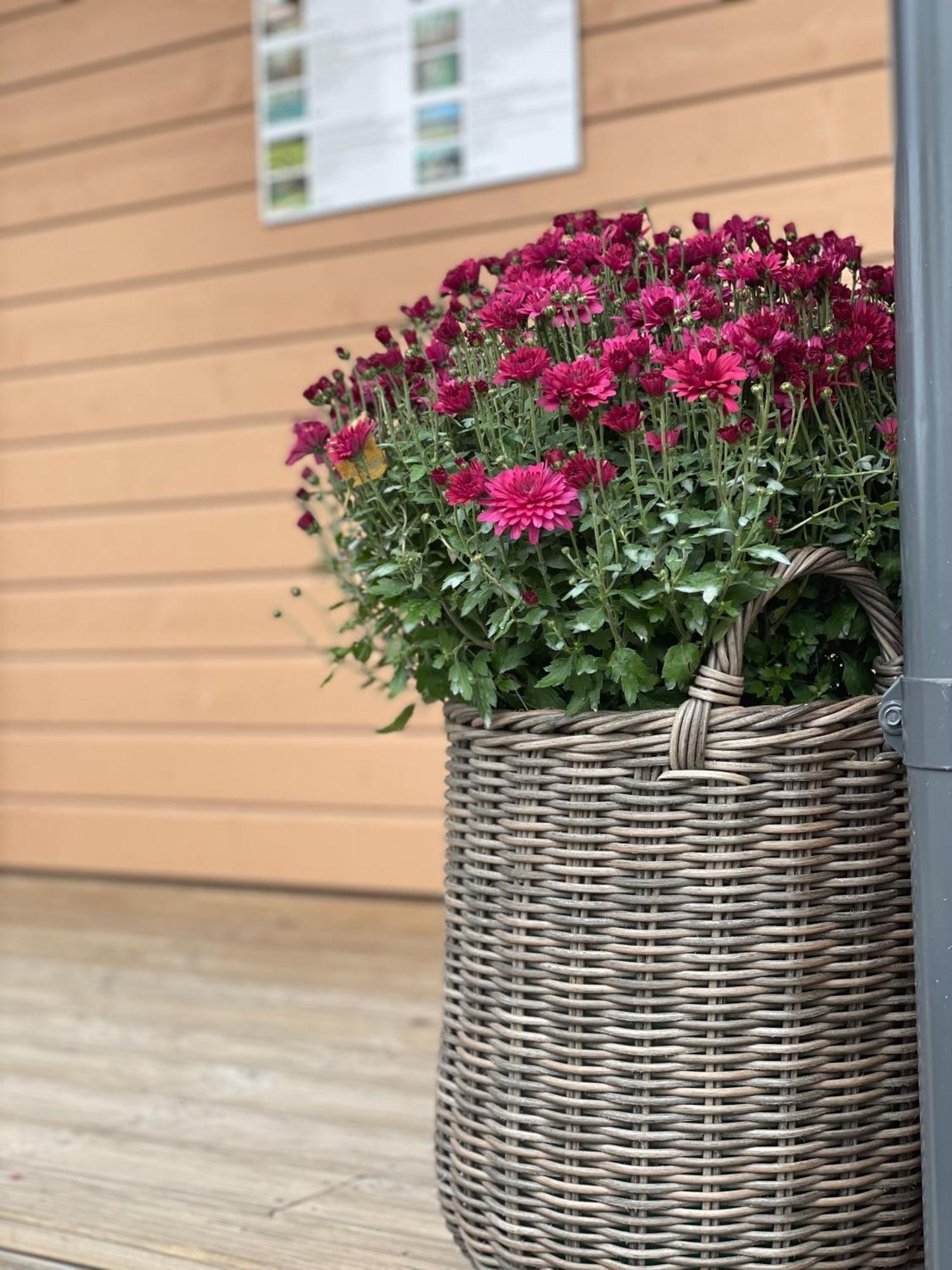 Bestes Apartamenti Koceni Kültér fotó