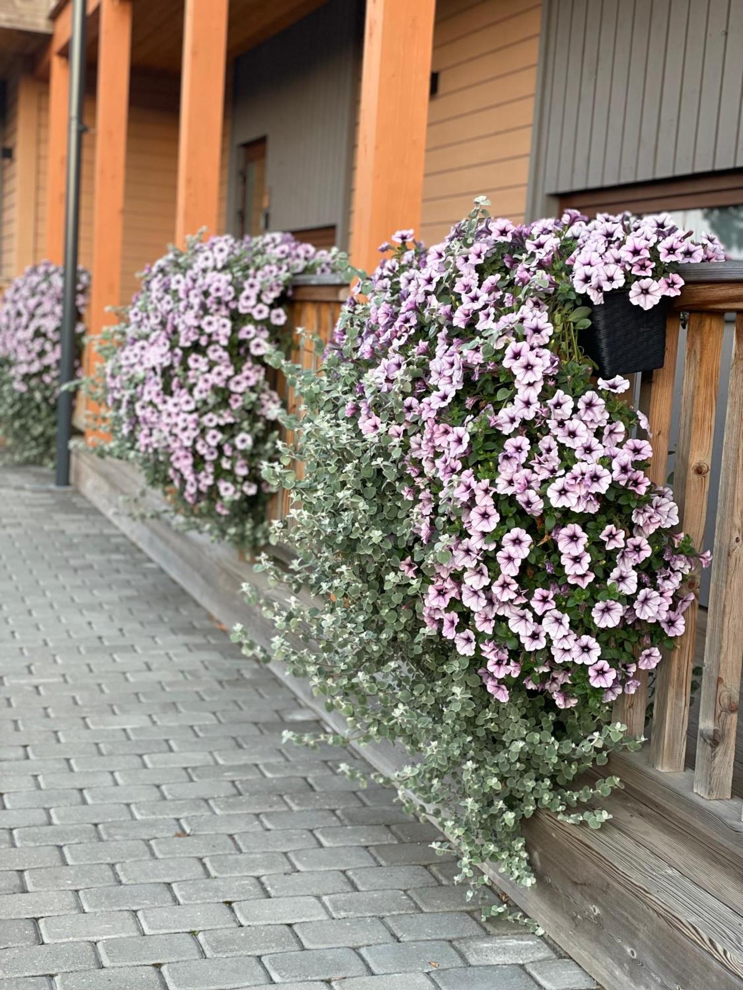 Bestes Apartamenti Koceni Kültér fotó